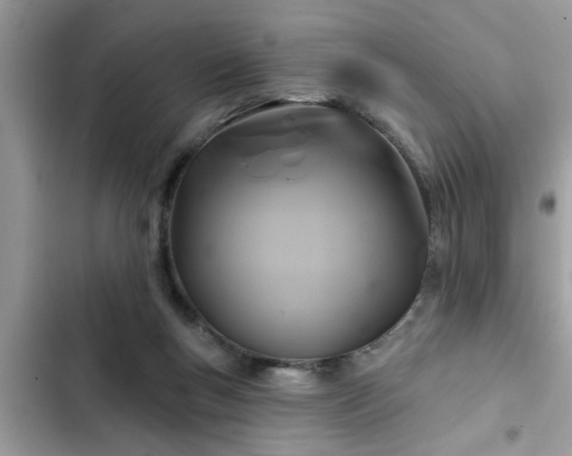 X0000102540167200808151651