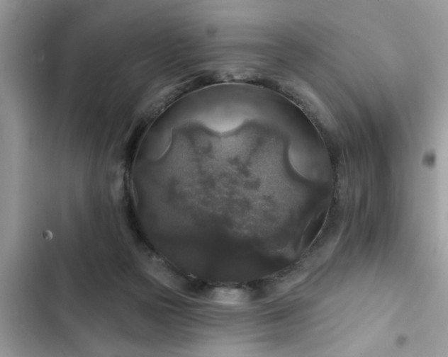 X0000102540169200808151651