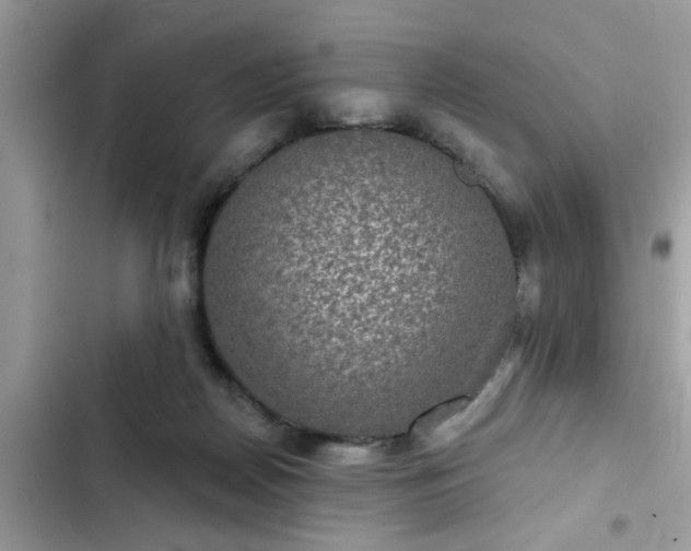 X0000102540170200808151651