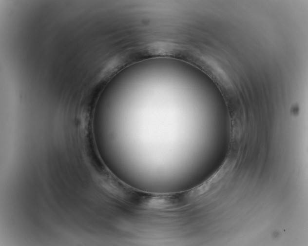 X0000102540171200808151651