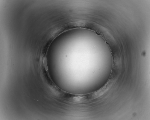 X0000102540172200808151651