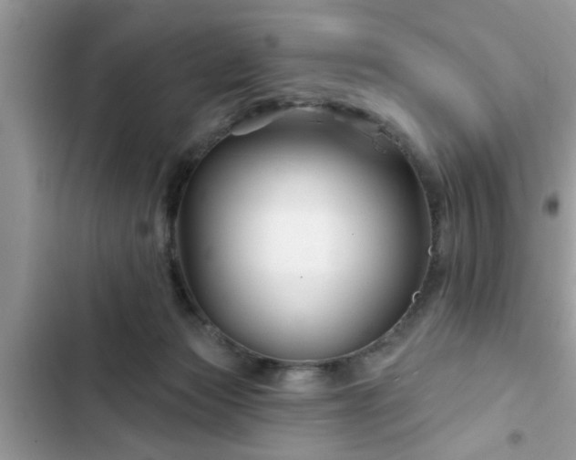 X0000102540173200808151651