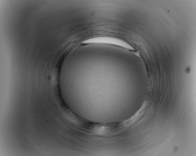 X0000102540174200808151651