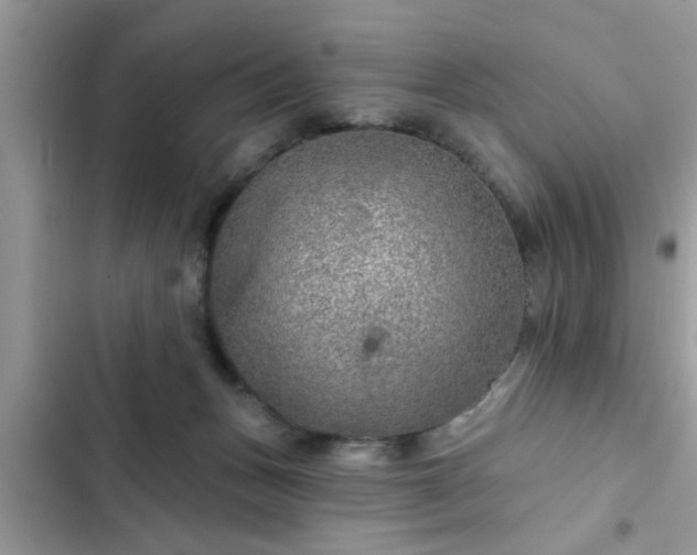X0000102540175200808151651