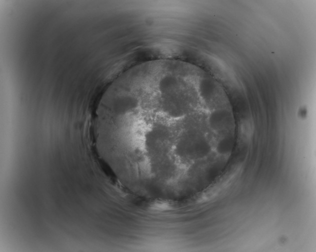 X0000102540177200808151651
