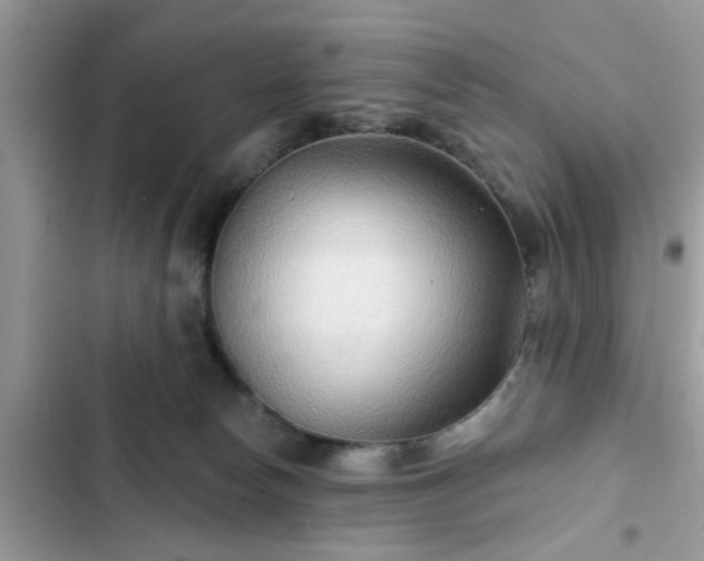 X0000102540178200808151651