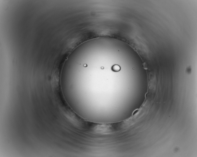X0000102540179200808151651