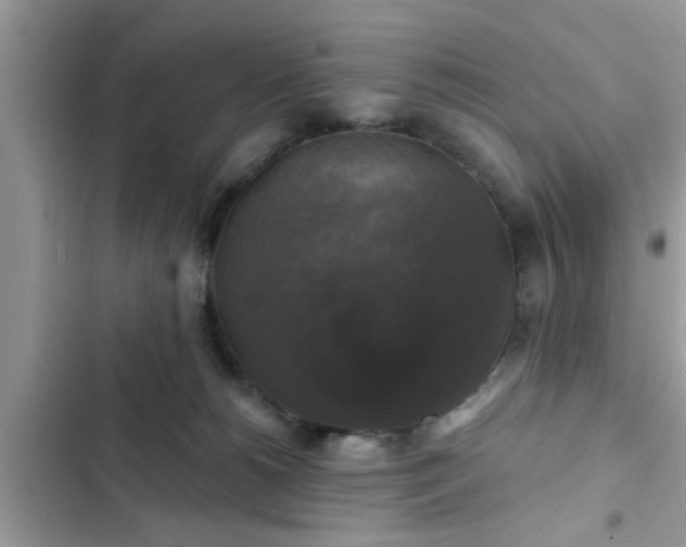 X0000102540180200808151651