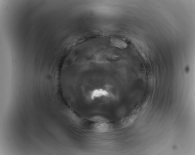 X0000102540181200808151651