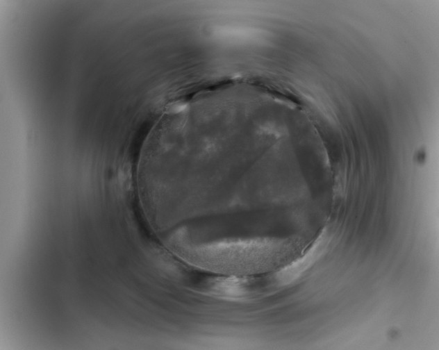 X0000102540182200808151651