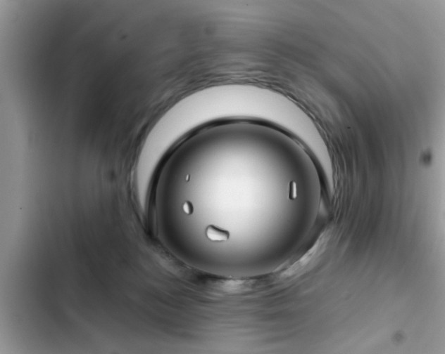 X0000102540184200808151651