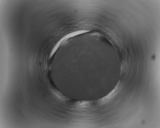 X0000102540186200808151651