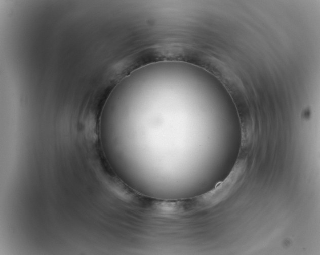 X0000102540187200808151651