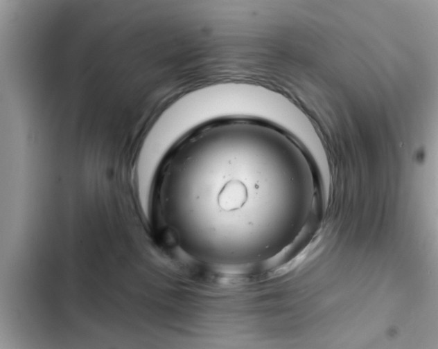 X0000102540188200808151651