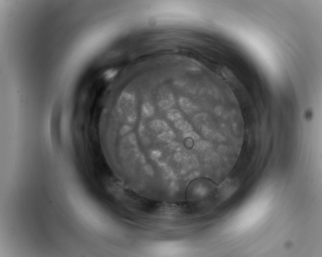 X0000102540189200808151651