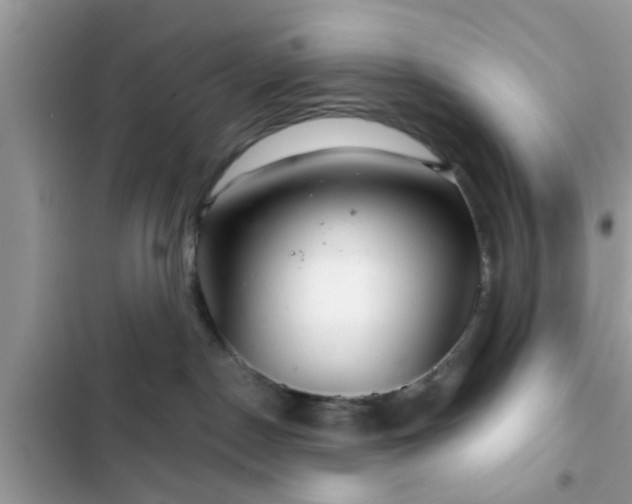 X0000102540190200808151651