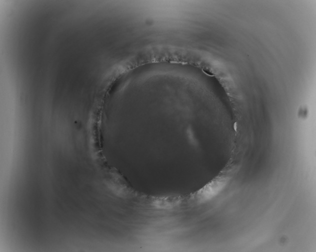 X0000102540192200808151651