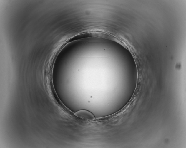 X0000102540193200808151650