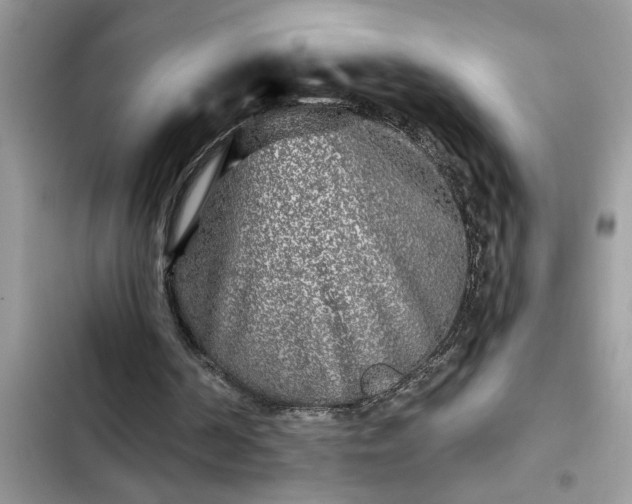 X0000102540194200808151650