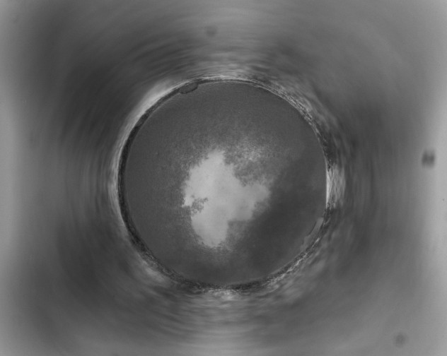 X0000102540195200808151650