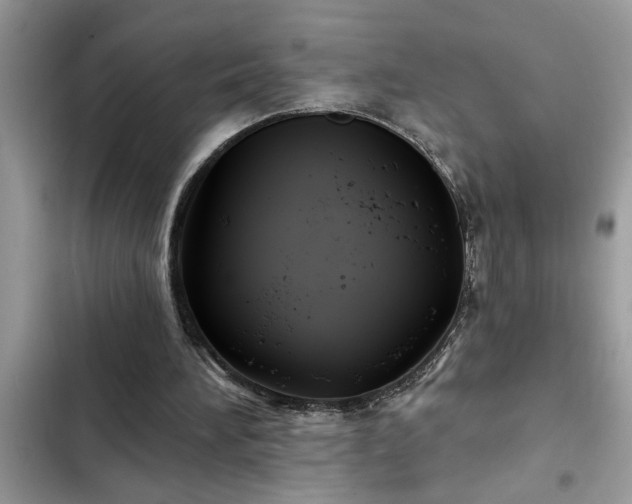 X0000102540196200808151650