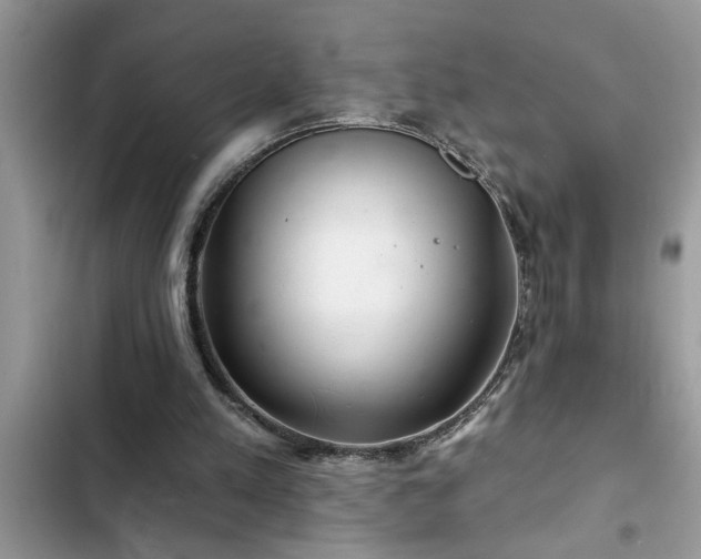 X0000102540197200808151650
