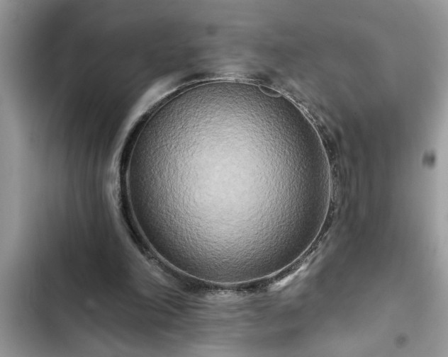 X0000102540198200808151650