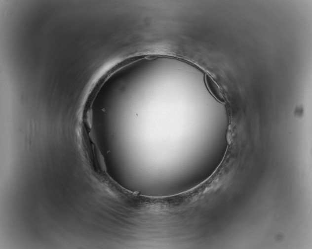 X0000102540200200808151650