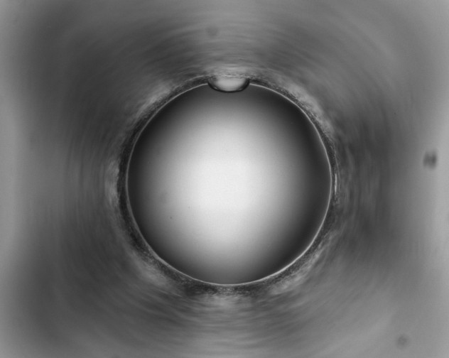 X0000102540201200808151650