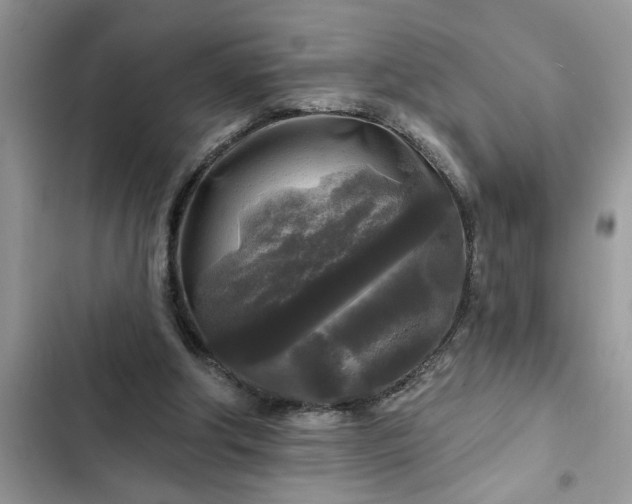 X0000102540202200808151650
