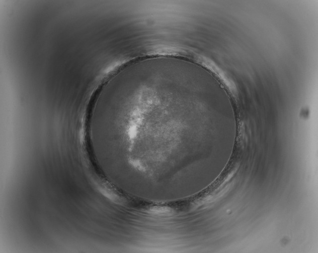 X0000102540203200808151650