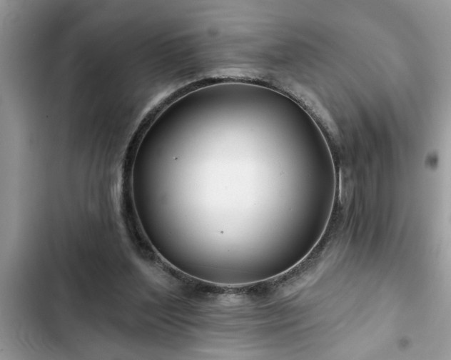 X0000102540204200808151650