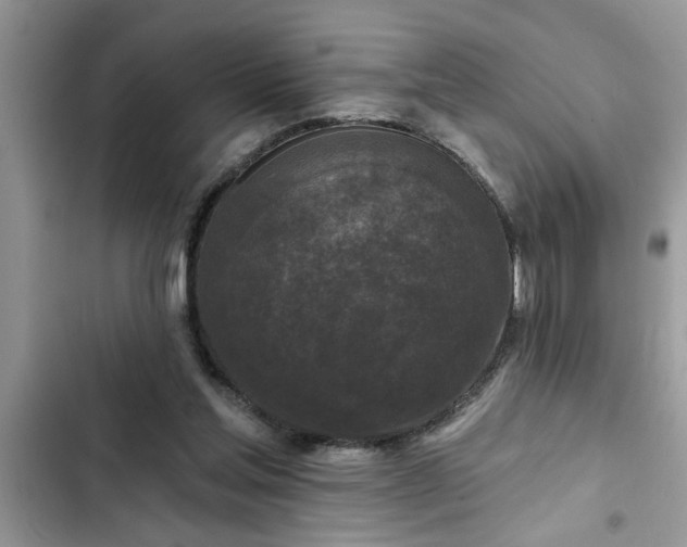 X0000102540205200808151650