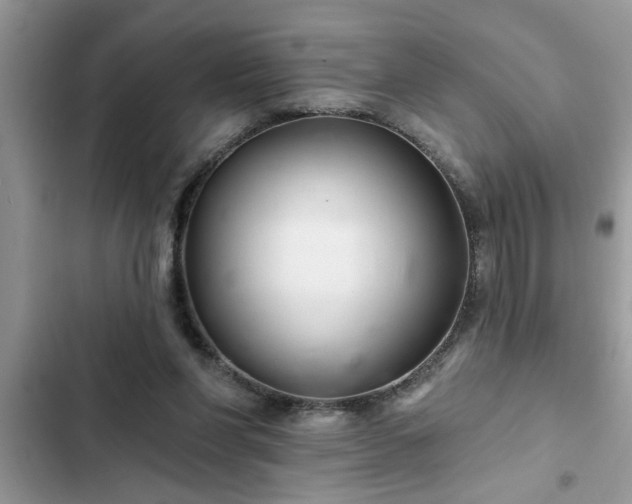X0000102540206200808151650