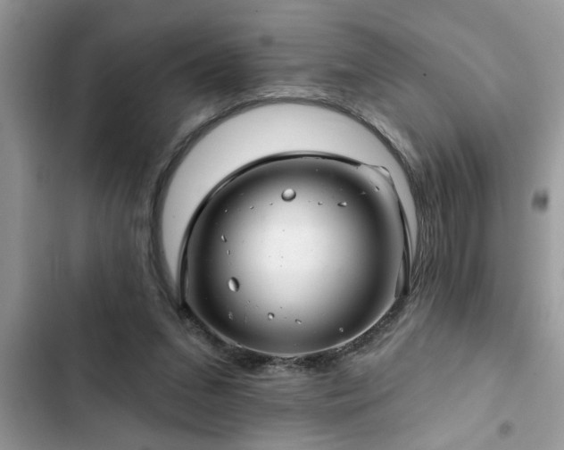X0000102540207200808151650