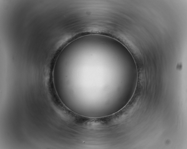X0000102540208200808151650