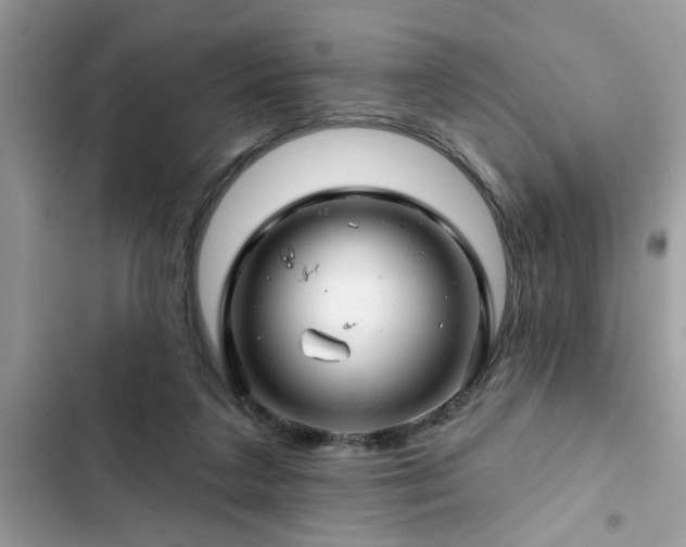 X0000102540211200808151650