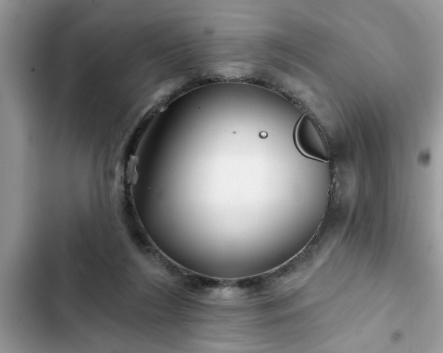 X0000102540212200808151650
