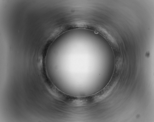 X0000102540213200808151650
