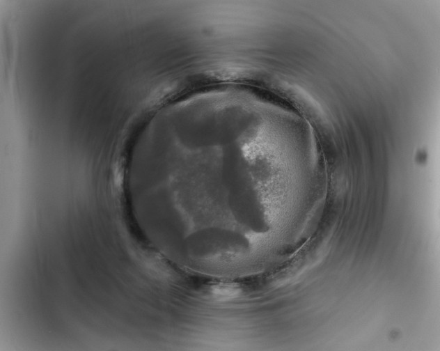 X0000102540214200808151650