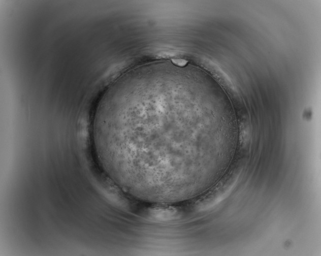 X0000102540215200808151650