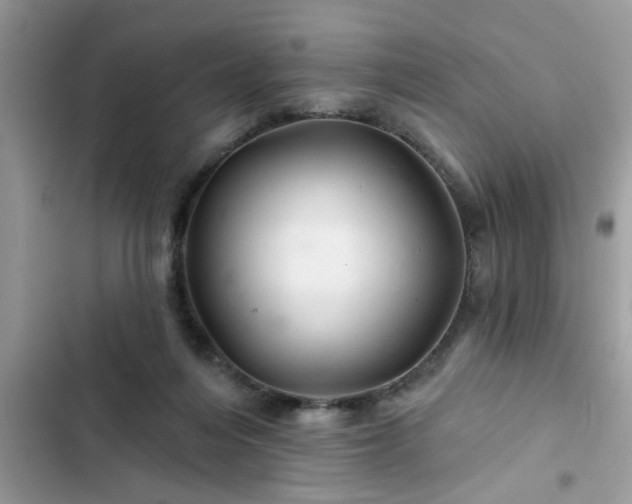 X0000102540216200808151650