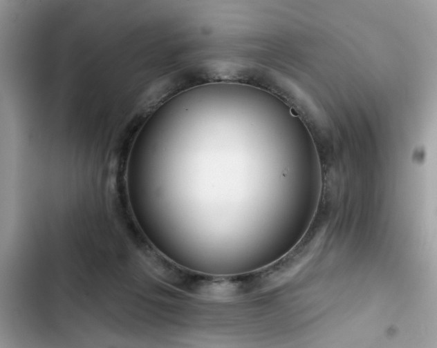X0000102540217200808151650