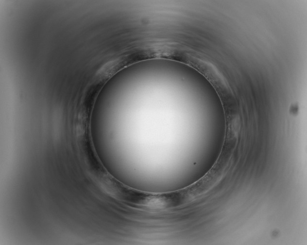 X0000102540218200808151650