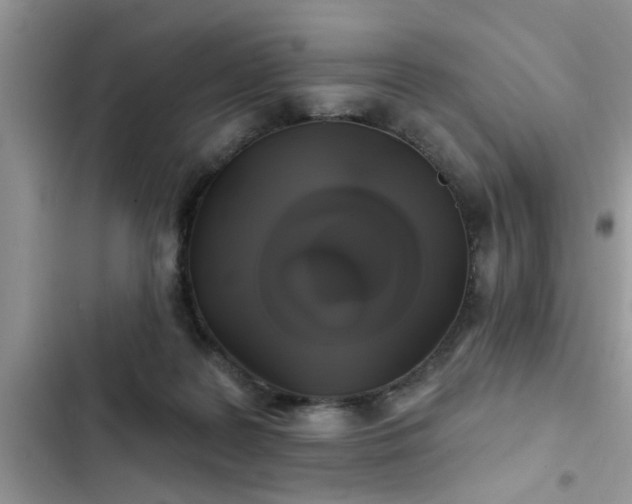 X0000102540219200808151650
