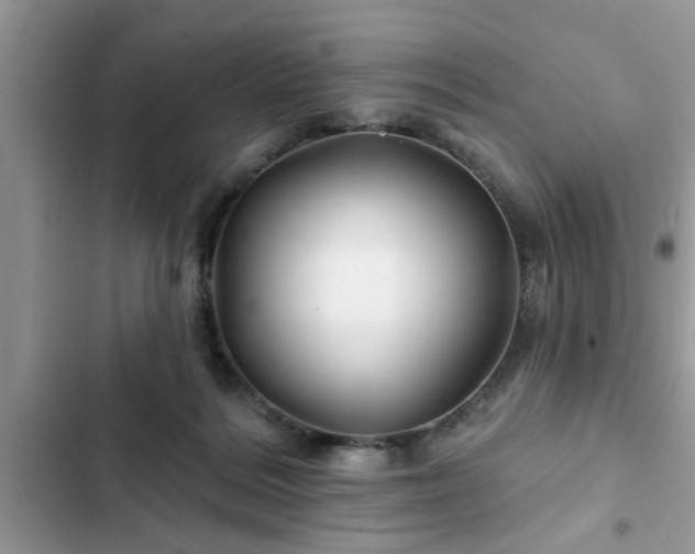 X0000102540220200808151650