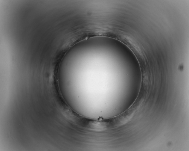 X0000102540221200808151650