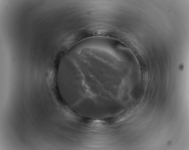 X0000102540222200808151650