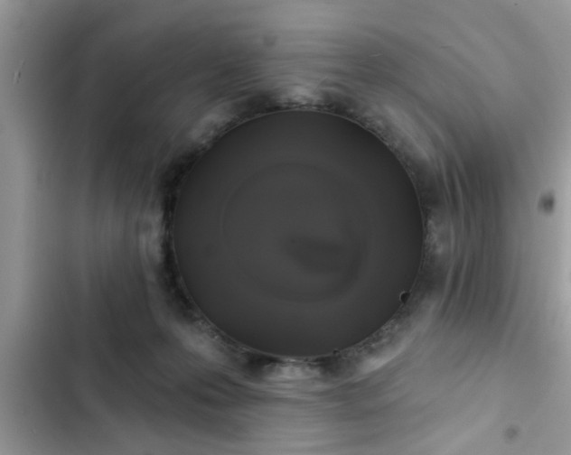 X0000102540223200808151650