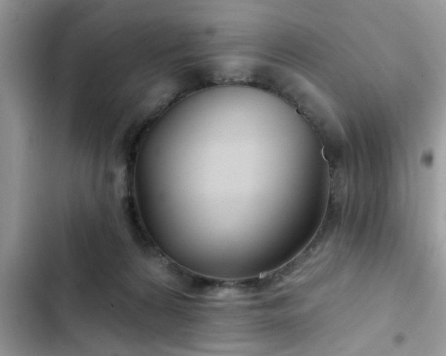 X0000102540224200808151650